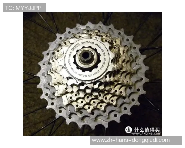 提升足球竞技水平的必备装备全解析与选购指南